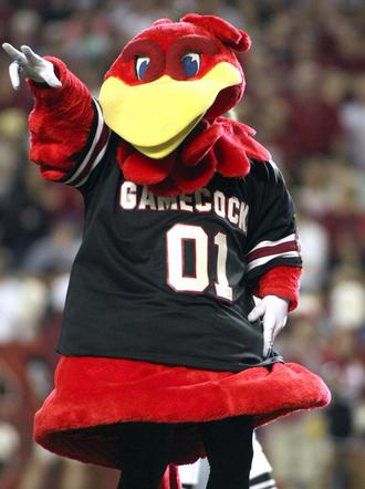 University of South Carolina Cocky Mascot