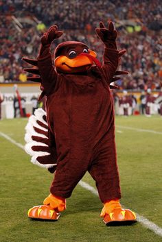 Virginia Tech HokieBird Mascot