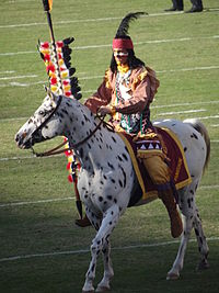 Florida State Osceola and Renegade Mascots