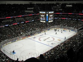 Anaheim Ducks Honda Center Arena