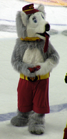 Calgary Flames Harvey the Hound Mascot