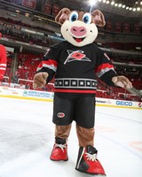 Carolina Hurricanes Stormy Mascot