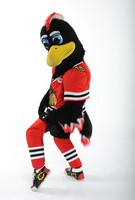 Tommy Hawk Mascot