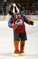 Colorado Avalanche Bernie the St. Bernard Mascot