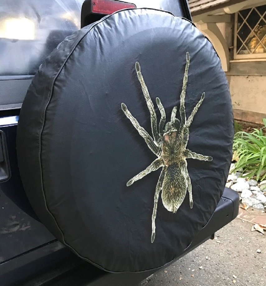 Spider Tire Cover