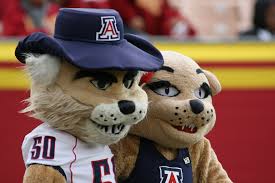 University of Arizona Wilbur Wildcat the Mascot